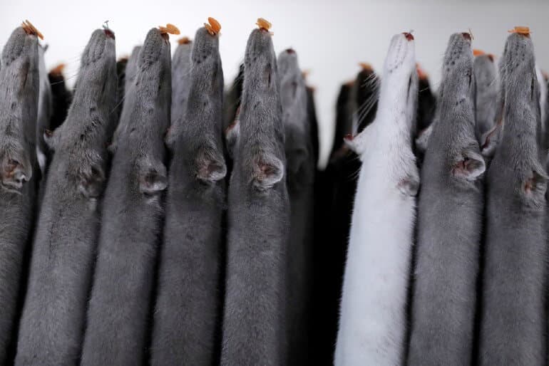 Andrew Kelly, Reuters