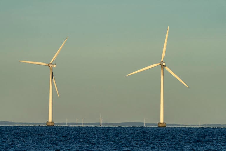 Lars Laursen/Biofoto/Ritzau Scanpix