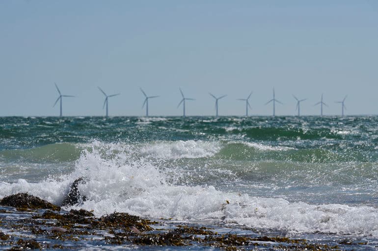 Morten Rasmussen/Biofoto/Ritzau Scanpix
