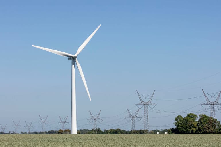 Eva Rosenqvist/Biofoto/Ritzau Scanpix