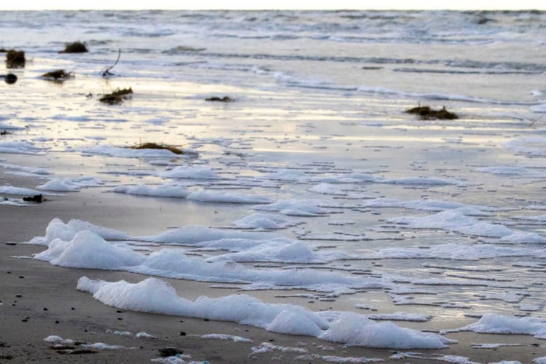 Søren Breiting/Biofoto/Ritzau Scanpix