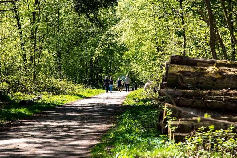 Sønderborg: Byt en gulvvask til en gåtur
