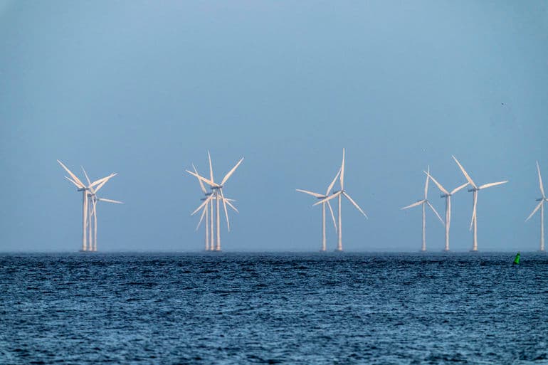 Lars Laursen/Biofoto/Ritzau Scanpix