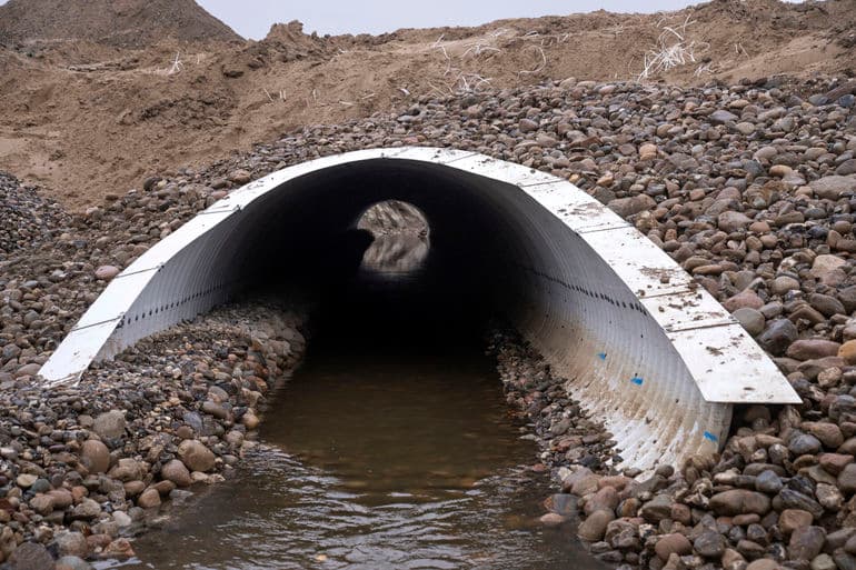 Bo Amstrup/Ritzau Scanpix