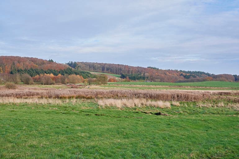 Hans Meineche/Biofoto/Scanpix