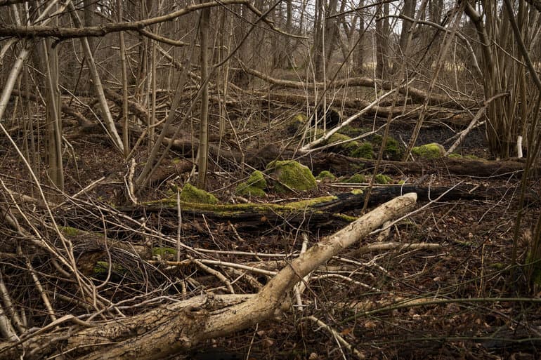 Bo Amstrup/Ritzau Scanpix