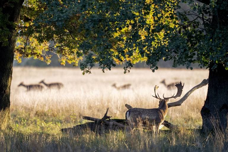 Thomas Traasdahl/Ritzau Scanpix