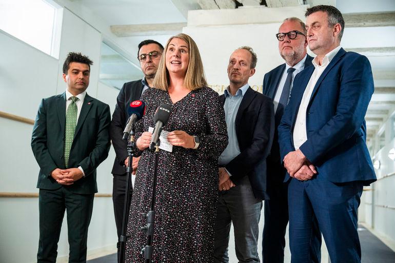 Rigsrevisionen: Ankestyrelsens tilsyn er utilfredsstillende 