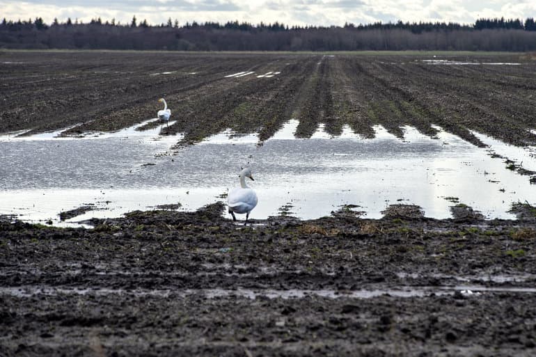 Henning Bagger/Ritzau Scanpix