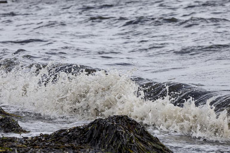 Johnny Pedersen/Ritzau Scanpix