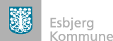 Direktør for Borger & Arbejdsmarked