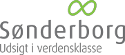 Direktør for Børn, Uddannelse og Sundhed
