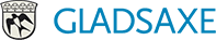 Digitaliseringschef