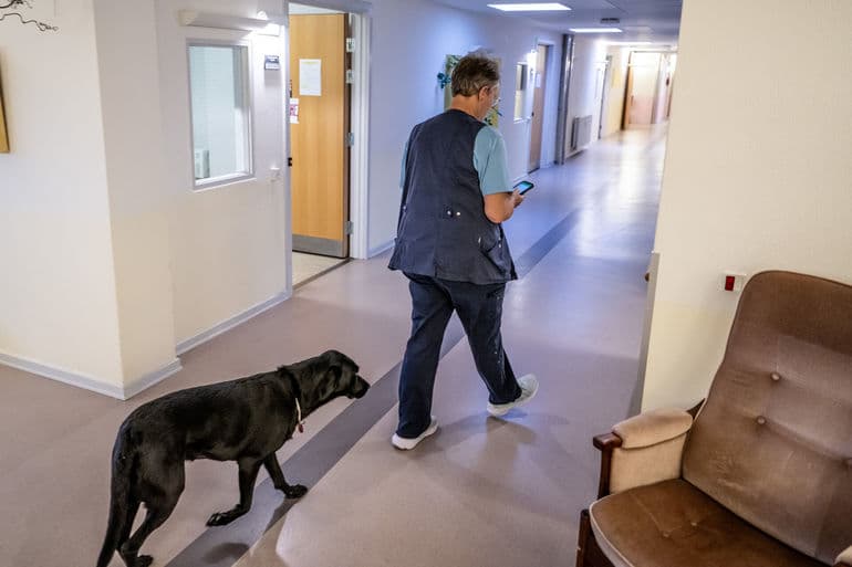 Morten Stricker/Jysk Fynske Medier/Ritzau Scanpix