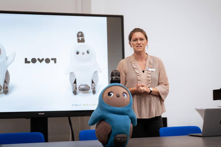 Vesthimmerland Kommune